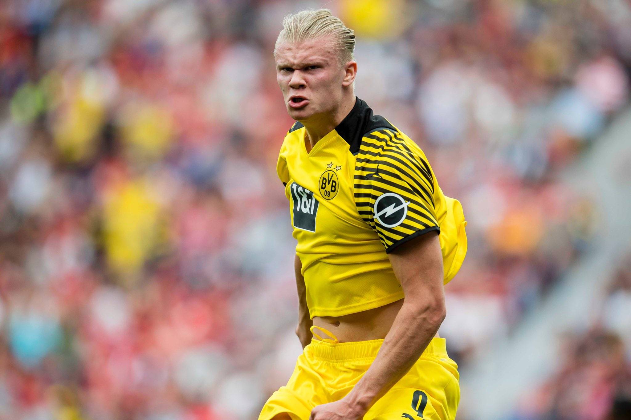 多功能组合 多功能组合